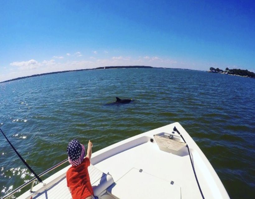 Hilton Head Island: Private Dolphin Watching Boat Tour - What Makes This Dolphin Tour Unique