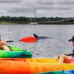Hilton Head Morning Kayaking & Coffee Guided Tour - Wildlife Encounters: Dolphins and Birdwatching
