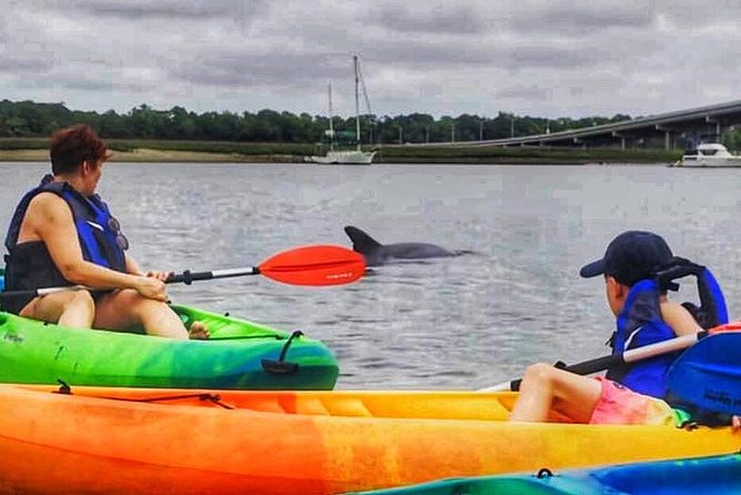 Hilton Head Morning Kayaking & Coffee Guided Tour - Wildlife Encounters: Dolphins and Birdwatching