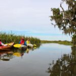 Hilton Head: Private Outback Kayak Tour - Scenic Boat Ride to Page Island for Private Exploration