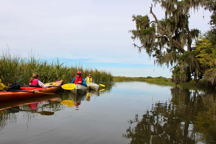 Hilton Head: Private Outback Kayak Tour - Scenic Boat Ride to Page Island for Private Exploration