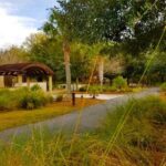 Hilton Head Segway Tropical Pathway Ride (90 minutes) - From the Life Oak Forest to Scenic Boardwalks