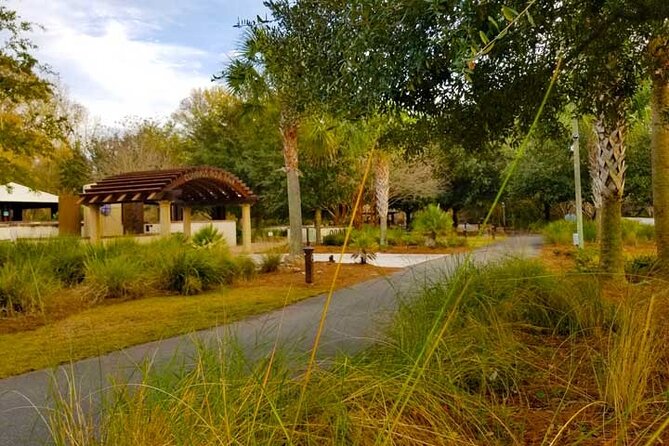 Hilton Head Segway Tropical Pathway Ride (90 minutes) - From the Life Oak Forest to Scenic Boardwalks