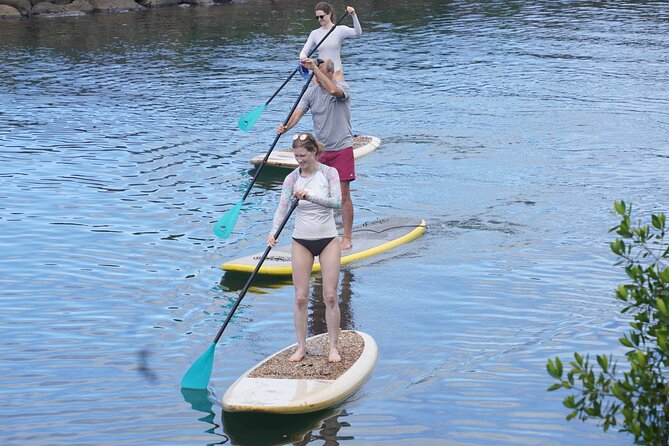 Historic Haleiwa Rainbow Bridge Stand Up Paddle (Anahulu River) - The Scenic Location: Haleiwa’s Rainbow Bridge and Anahulu River