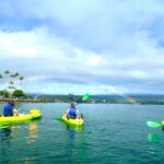 Historic Hilo Bay and Coconut Island Guided Kayak Adventure - Starting Point and Logistics of the Kayaking Tour
