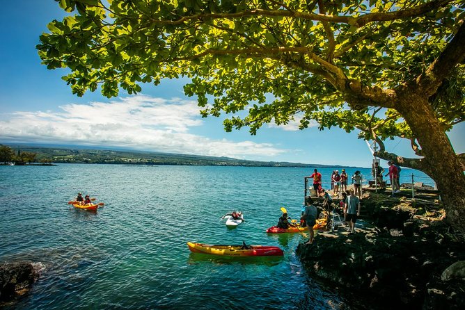 Historic Hilo Bay Waterfalls by Kayak - Scenic Views of Hilo Town and Coconut Island from the Water