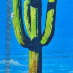 Historic Tucson Walking Tour - The Historic Courthouse: The Tour’s Starting Line