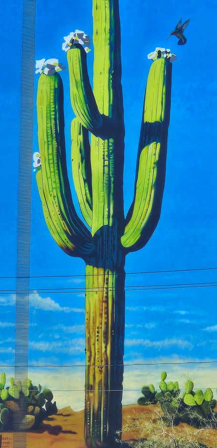 Historic Tucson Walking Tour - The Historic Courthouse: The Tour’s Starting Line