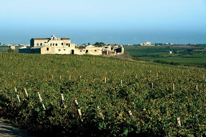 Historic winery visit with food and wine tasting in Marsala - Meet Your Expert Guide and Discover Winery Secrets