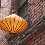 Historical Chinatown Walking Tour - Visiting the Chinese Public School