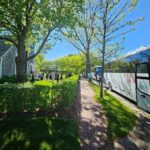 Historical Tour of Nantucket - The Oldest Tour Company on Nantucket