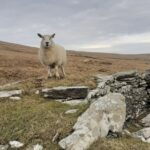 Historical Walking Tours in Valentia and the Skellig Region - Discovering Foilhomurrun Bay and the Transatlantic Landmark