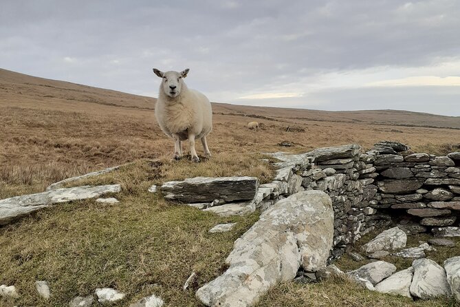 Historical Walking Tours in Valentia and the Skellig Region - Discovering Foilhomurrun Bay and the Transatlantic Landmark