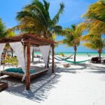Holbox : boat tour, golfcart, beach club, pick up available - Starting Point and Transportation from Cancun and Tulum