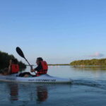 Holbox: Guided Sunrise/Sunset Kayak Tour by Mangrove Reserve - Starting from Holbox: Convenient Hotel Pickup by Golf Cart