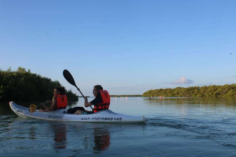 Holbox: Guided Sunrise/Sunset Kayak Tour by Mangrove Reserve - Starting from Holbox: Convenient Hotel Pickup by Golf Cart