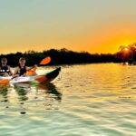 Holbox: Sunrise & Mangrove Kayak Tour - Exploring the Virgin Areas of Holbox by Kayak