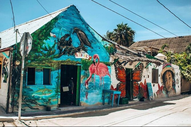 Holbox The Living Dream by boat from Playa del Carmen - Exploring Yalahau Lagoon and Cenote