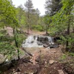 Hollister: 4-Seater CanAm UTV Off-Road Rental - The 1.5-Hour Off-Road Adventure Experience