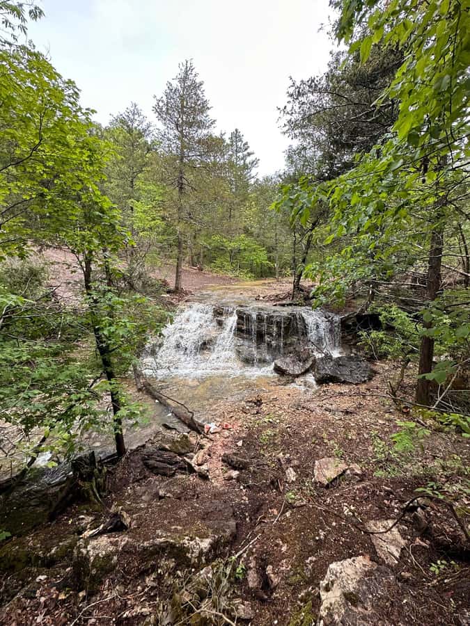 Hollister: 4-Seater CanAm UTV Off-Road Rental - The 1.5-Hour Off-Road Adventure Experience
