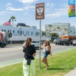 Hollywood, Beverly Hills & Celebrity Homes Tour by Open Air Bus - Starting Point and Tour Logistics in Hollywood