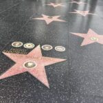Hollywood: Make Your Own Star Walk of Fame Photo Experience - Meeting Point and Accessibility Details