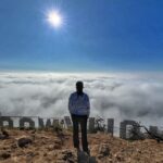 Hollywood Sign 2.5-Hour Tour with Comedians and Their Dogs - Insights into Hollywood and Los Angeles Landmarks