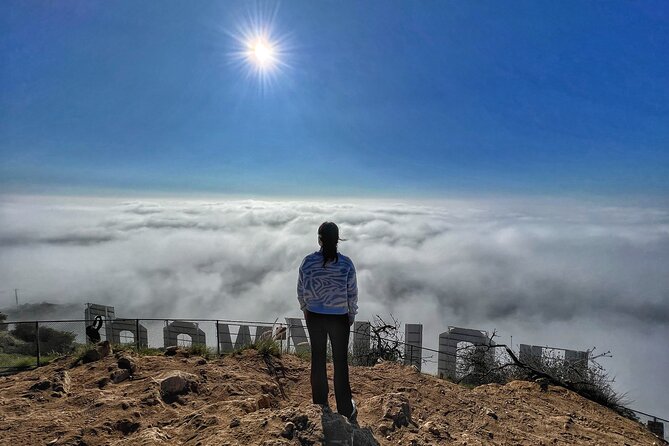 Hollywood Sign 2.5-Hour Tour with Comedians and Their Dogs - Insights into Hollywood and Los Angeles Landmarks