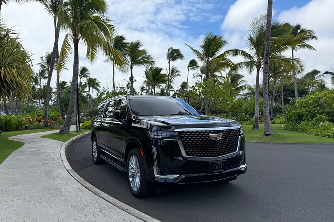 Honolulu Airport Transfer to Waikiki, Kahala & Cruise Ship Port - Personal Touches and Real-Time Communication