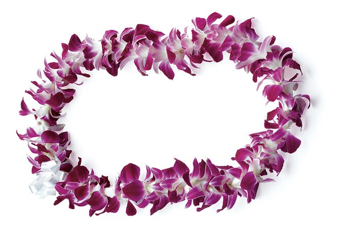 Honolulu Airport: Waikiki Private Transfer With Lei Greeting - Easy and Reliable Airport Pickup Process