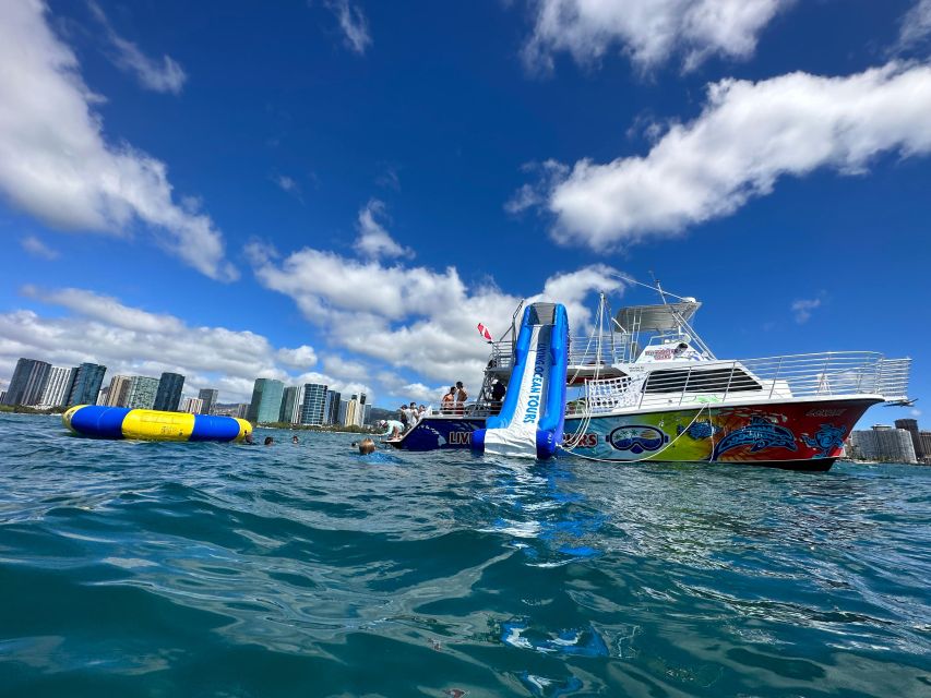 Honolulu: Deluxe Waikiki Snorkel and Wildlife Cruise - Starting Point at Kewalo Basin harbor