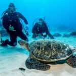 Honolulu: Discover Scuba Diving Experience with Gear - Learning Basic Scuba Skills with a PADI Professional