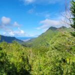 Honolulu: Hawaiian Volcanic Rainforest Hike - Starting Point and Transportation for the Volcano Rainforest Trek