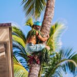 Honolulu: Ka Moana Lau at Aloha Tower  Oceanfront Luau Show - Scenic Oceanfront Location at Aloha Tower