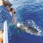 Honolulu: Oahu Whale Watching Boat Tour - The Starting Point: Slip 497 at Ala Wai Harbor