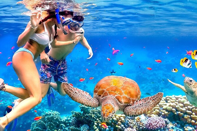 Honolulu Sailing and Snorkeling Activity - The Boat Ride to Prime Snorkeling Spots