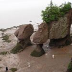 Hopewell Rocks Admission - Walking on the Ocean Floor During Low Tide