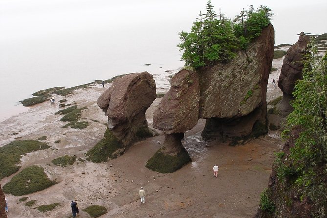 Hopewell Rocks Admission - Walking on the Ocean Floor During Low Tide