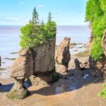 Hopewell Rocks Bay of Fundy Tour - Reversing Falls Rapids: Witness Nature’s Unique Phenomenon