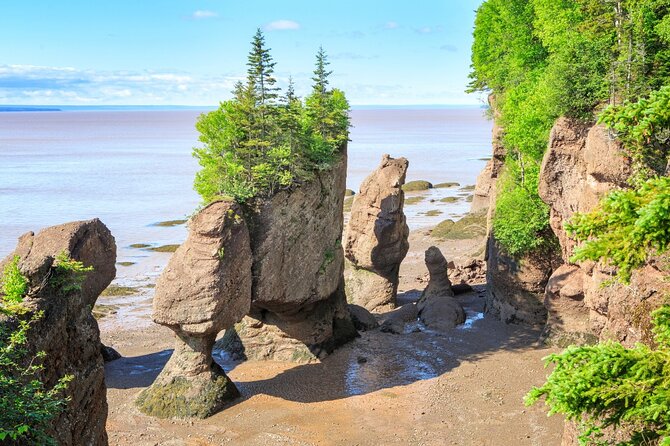 Hopewell Rocks Bay of Fundy Tour - Reversing Falls Rapids: Witness Nature’s Unique Phenomenon