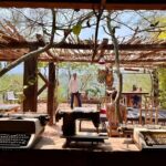 Horizons of Cuicatlán, echoes of the past and ancestral route - From Oaxaca City to Cuicatlán: Comfortable Road Trip