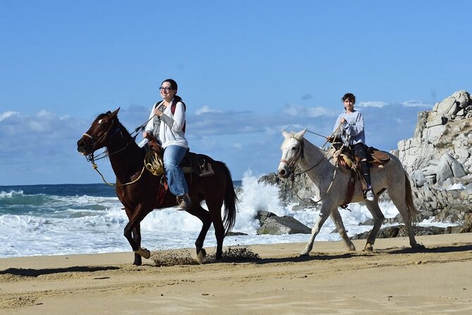 Horse Back Ridding Tour on the Pacific Ocean & Desert - Convenient Pickup and Transportation from Cabo San Lucas