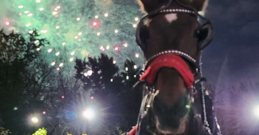 Horse Carriage Ride at Rockefeller Center & Times Square - Starting Point at Central Park’s 7th Avenue & West 59th Street