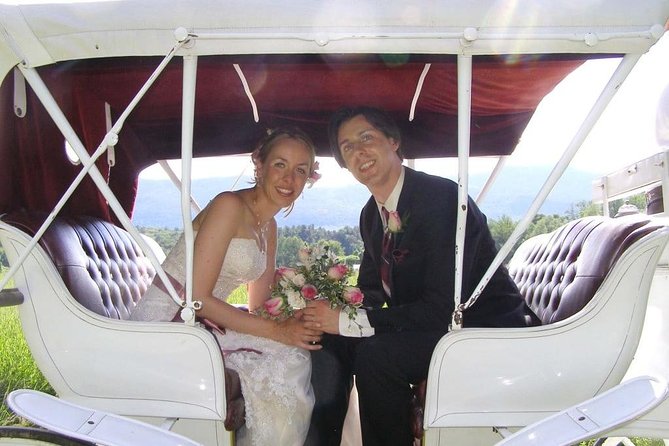 Horse Carriage Romantic Ride (VIP-Private) in Central Park 1964 - Customizable Romantic Experience with Landmark Views