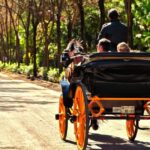Horse-Drawn Carriage Ride Through Seville - Starting Point at Calle Arfe, 3 in Seville’s Old Quarter