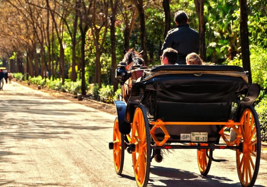 Horse-Drawn Carriage Ride Through Seville - Starting Point at Calle Arfe, 3 in Seville’s Old Quarter