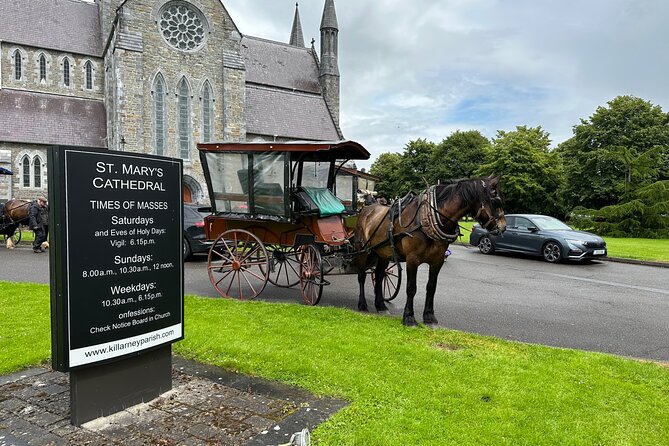 Horse-Drawn Carriage Tours in Killarney - Scenic Stops Featuring Lakes, Castles, and Forests