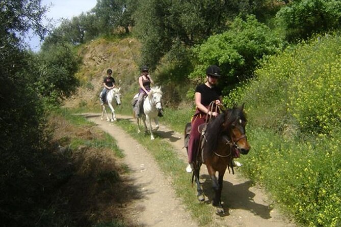 HORSE RIDING 1.5 hours mountains from area Hersonissos CRETE - The Route Through Crete’s Mountain Trails