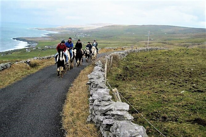 Horse riding - Dirt Trek Trail. Lisdoonvarna, Clare. Guided. 1 hour. - The Starting Point at Mountain View Horse Riding Centre