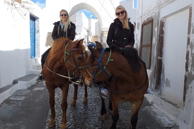 Horse Riding--Explore secret Thera - Discovering Megalochori and the Santorini Countryside